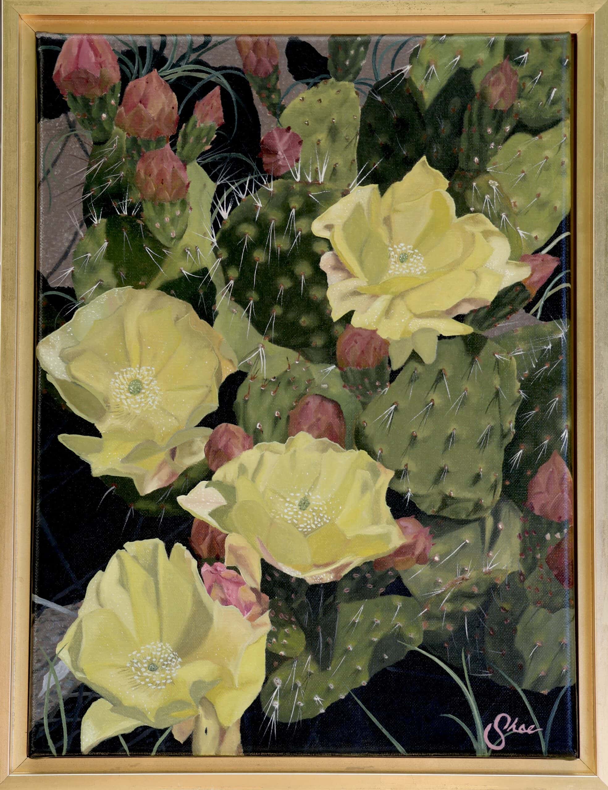 Plains Pricklypear a Painting by Shae Zoe Reardon, presented by Western Gallery