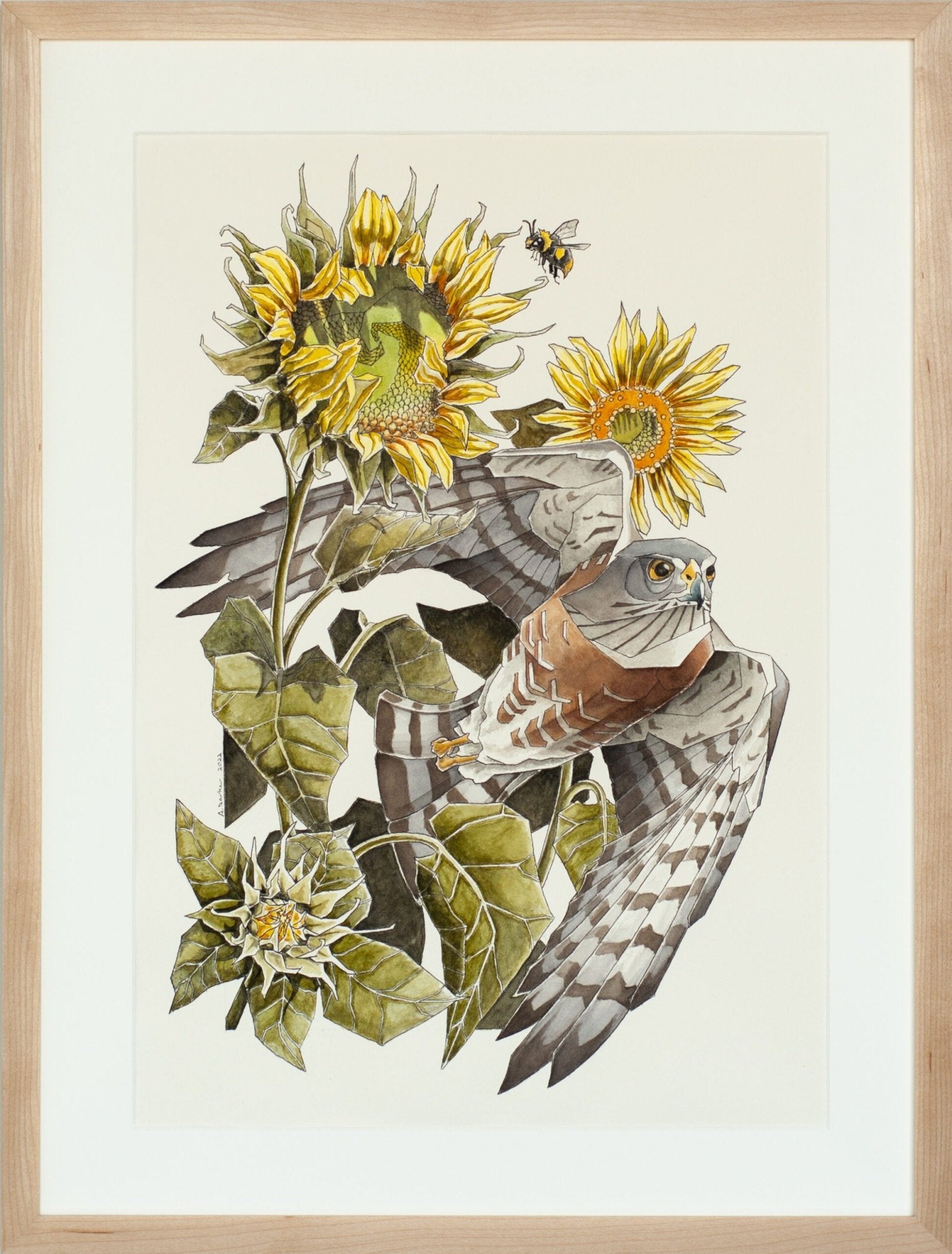 Helianthus a Painting by Andrew Barker, presented by Western Gallery