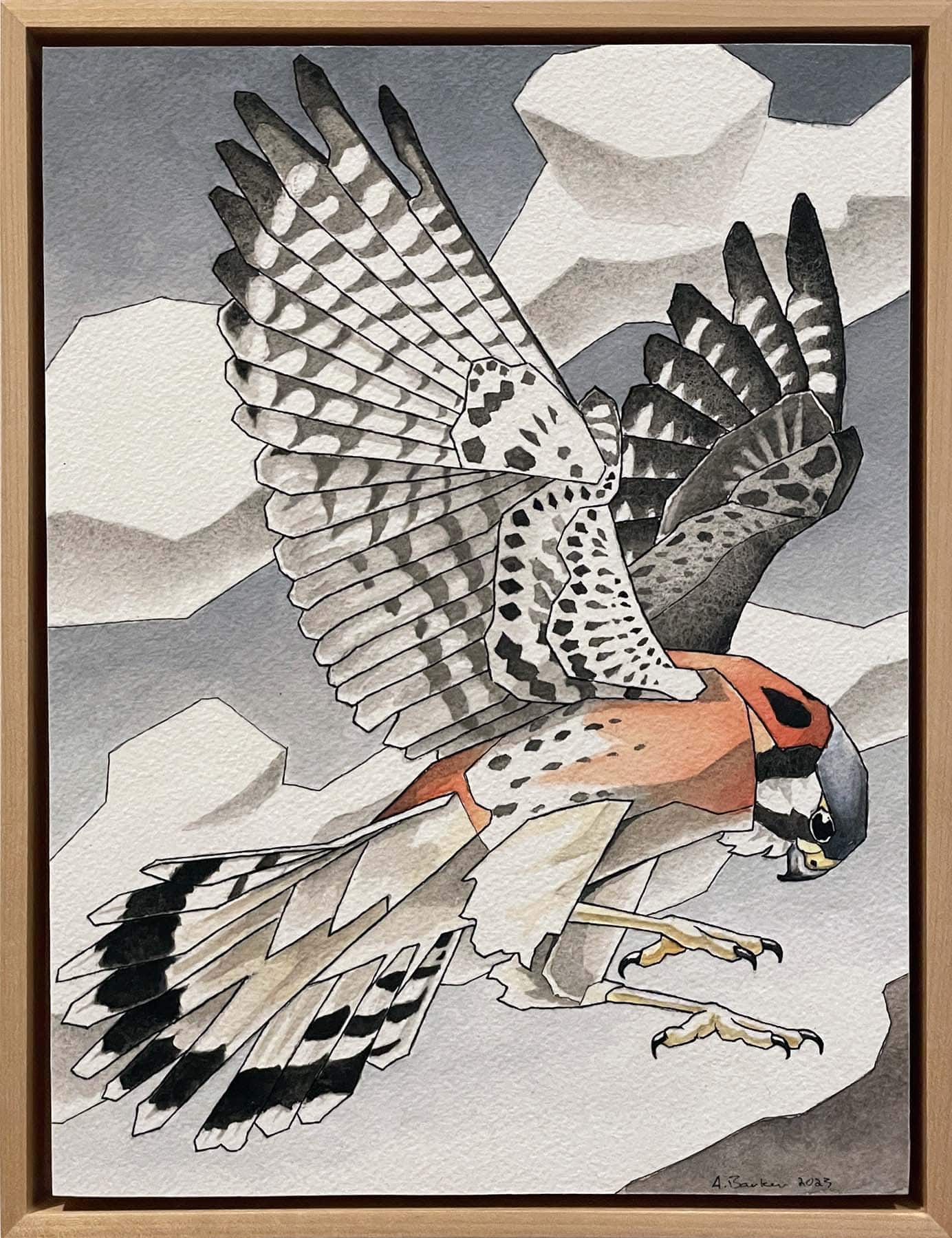American Kestrel a Painting by Andrew Barker, presented by Western Gallery