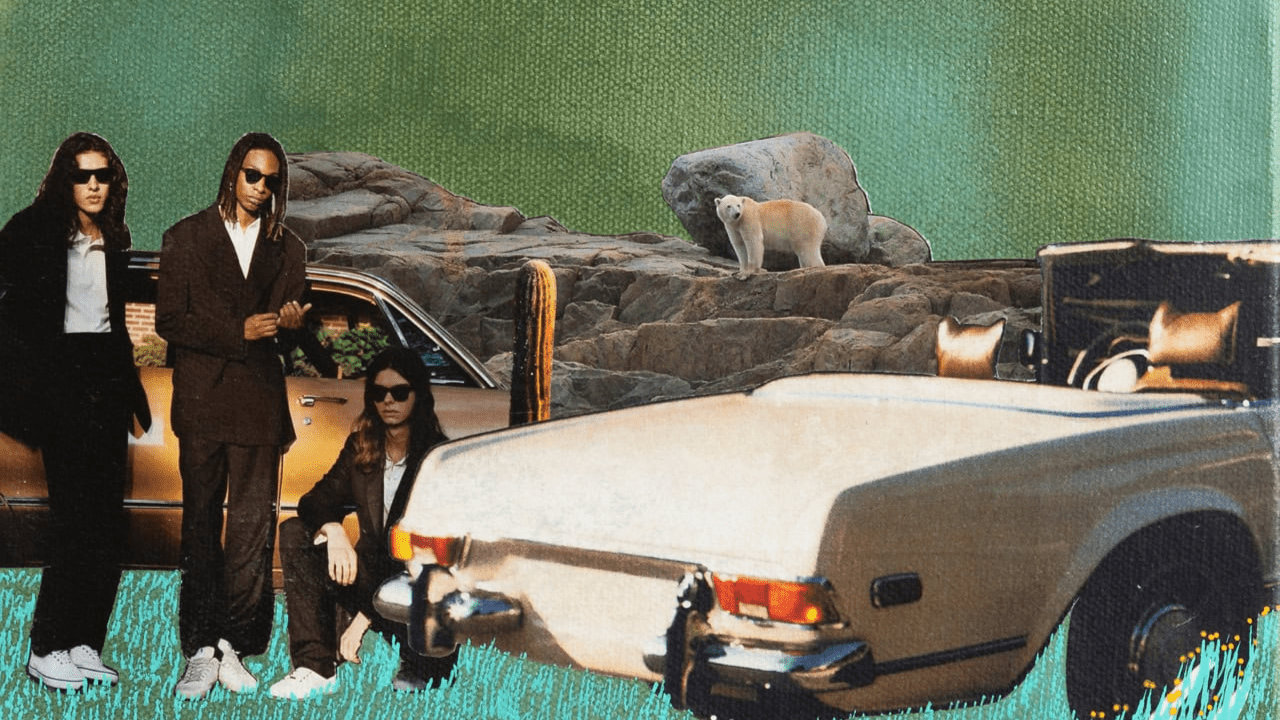 Vanessa Compton - Western Gallery