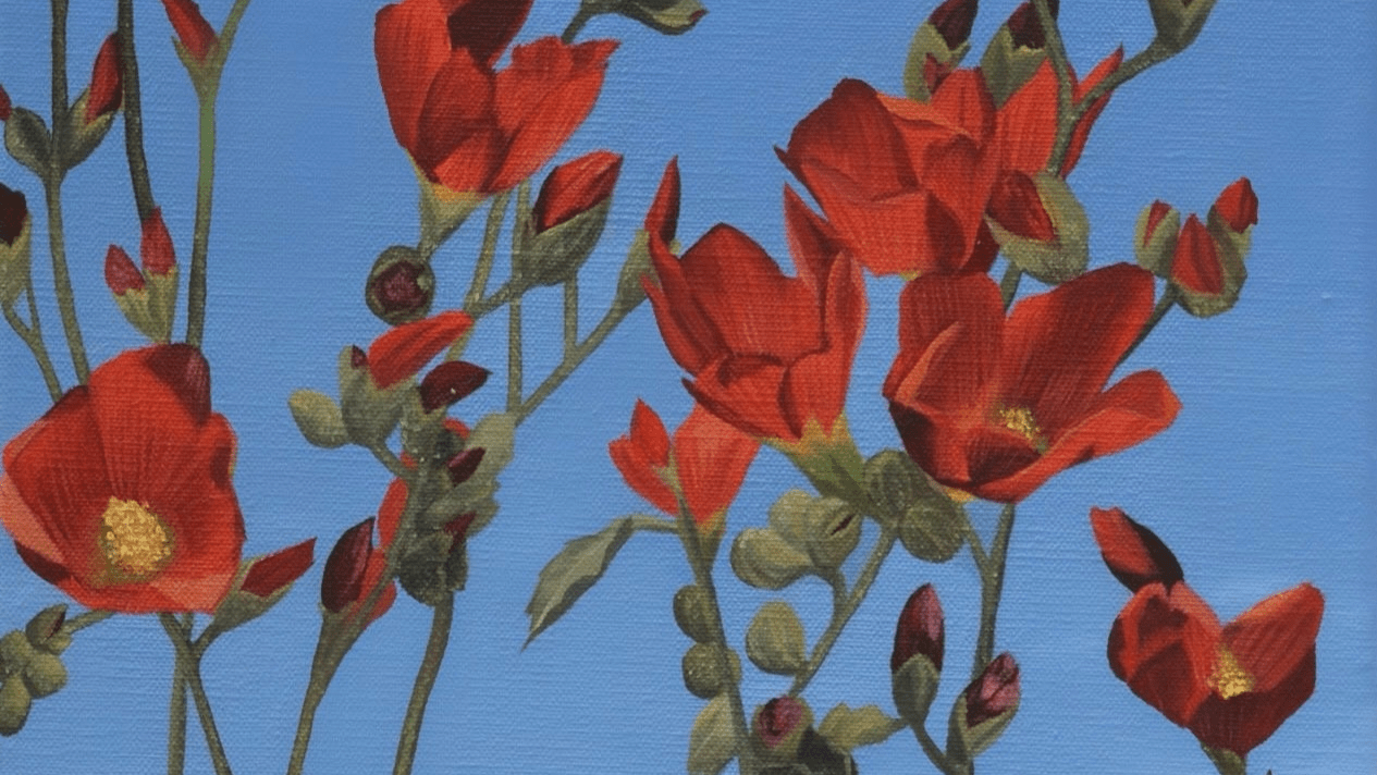 Shae Zoe Reardon - Western Gallery