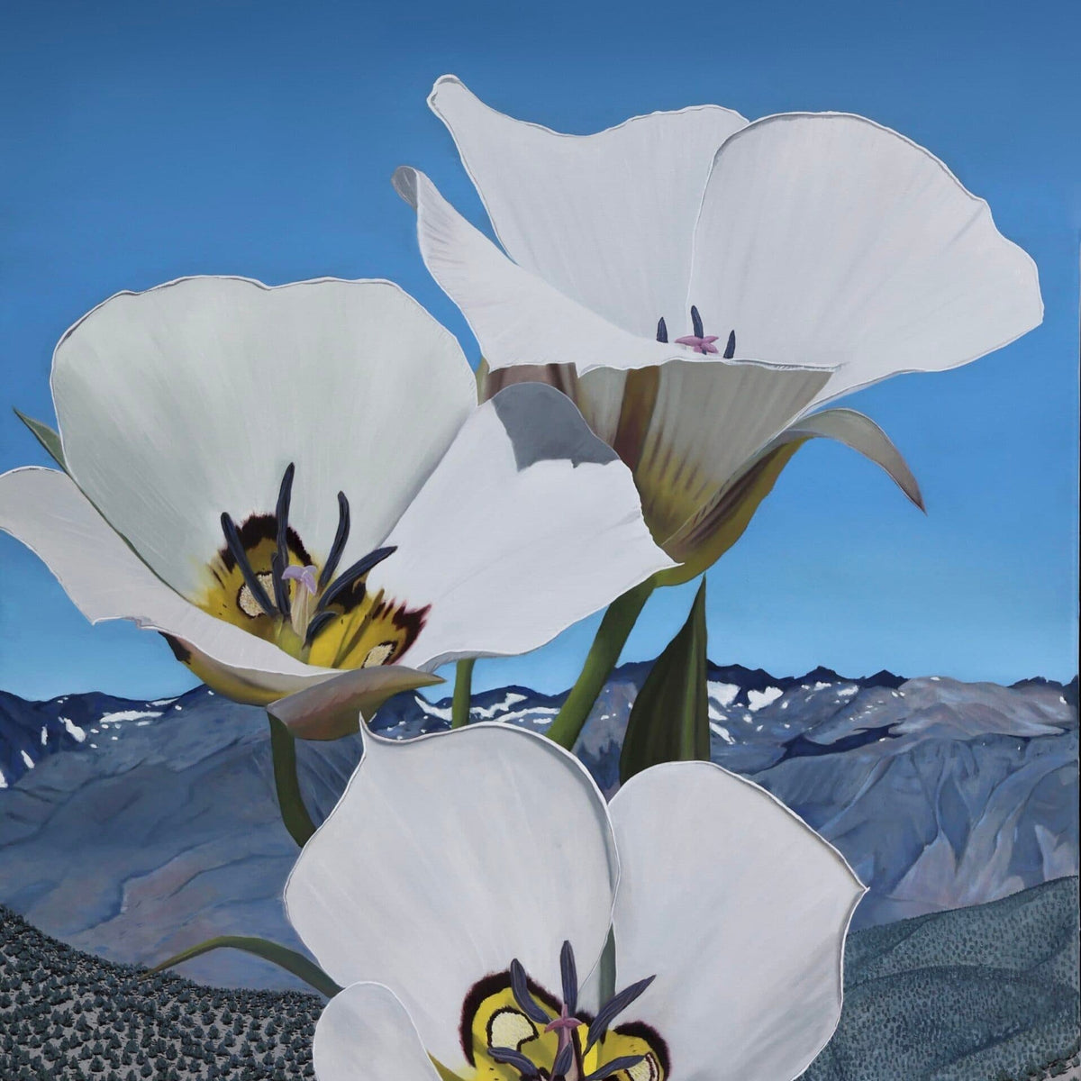 Western Gallery presents paintings by fine artist Shae Zoe Reardon