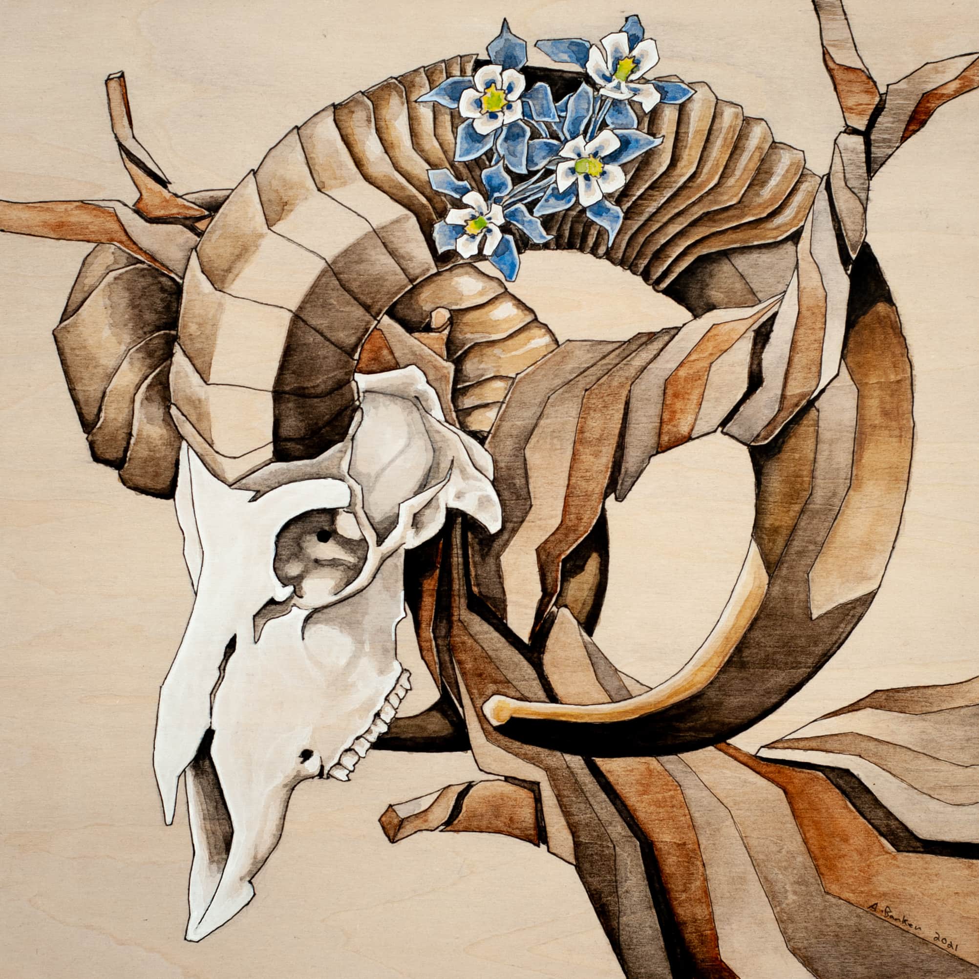 Andrew Barker - Western Gallery