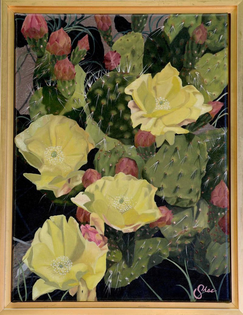Plains Pricklypear a Painting by Shae Zoe Reardon, presented by Western Gallery