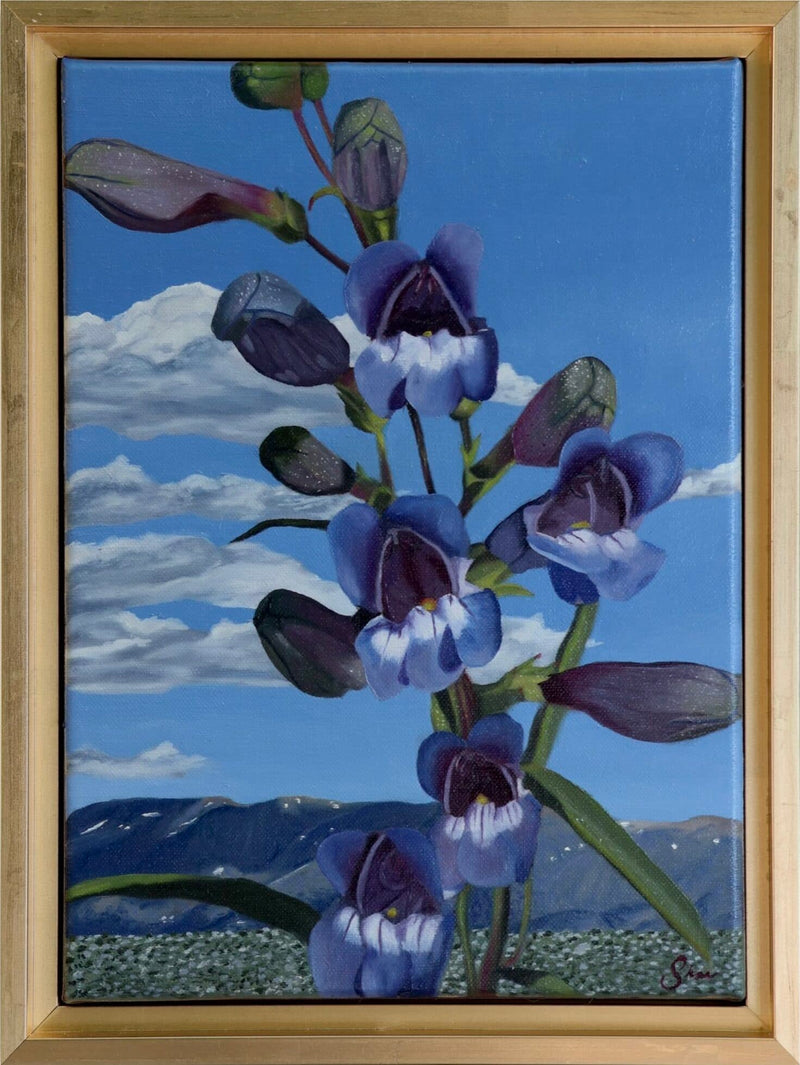 Royal Beardtongue a Painting by Shae Zoe Reardon, presented by Western Gallery