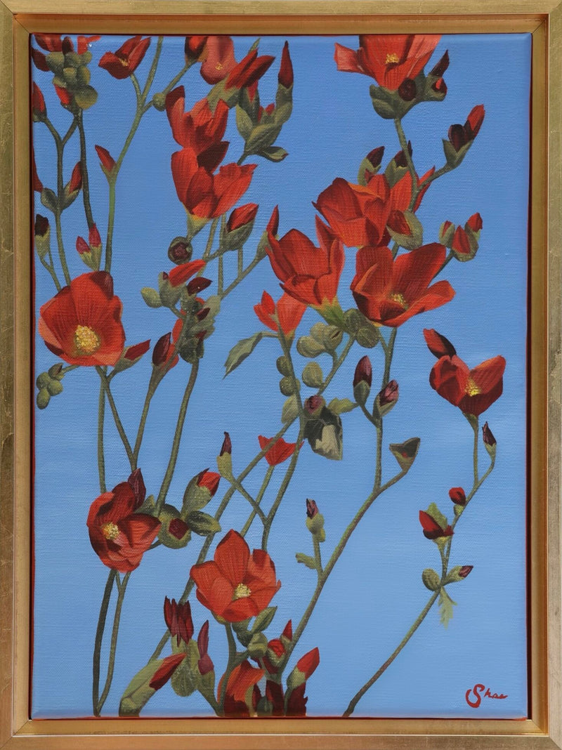 Roadside Mallows a Painting by Shae Zoe Reardon, presented by Western Gallery