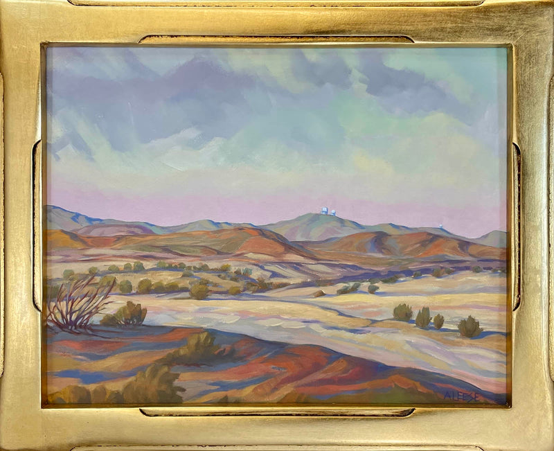 Chihuahuan Desert Research Institute and McDonald Observatory a Painting by Alice Leese, presented by Western Gallery