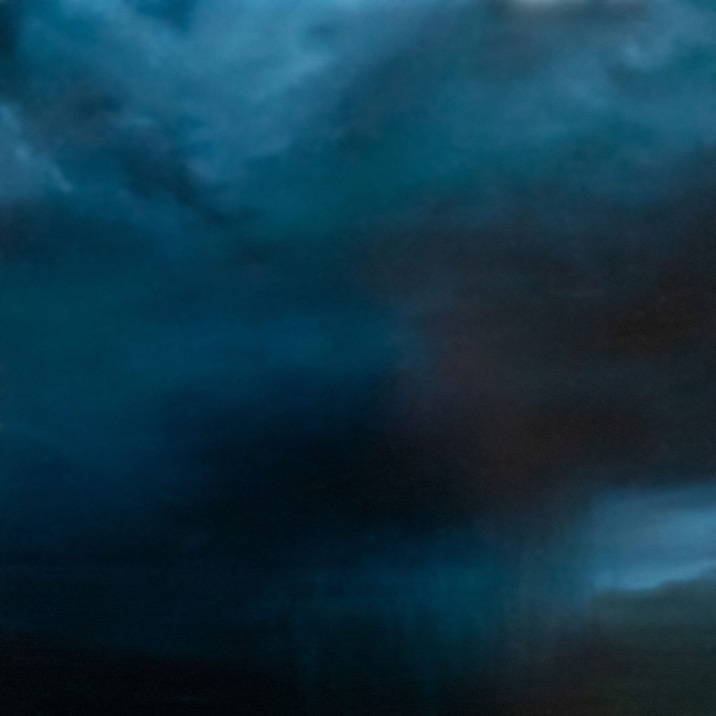 Frog Strangler a Painting by Kerri S. Menchaca, presented by Western Gallery